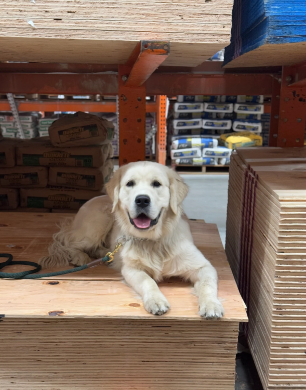 Southern_CA_Dog_Training_Case_Study